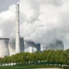 Krisis Energi Global Picu Kembalinya Batu Bara sebagai Pilihan di Jerman
