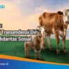 Kurban Dimaknai sebagai Simbol Ketakwaan dan Solidaritas Sosial | LPP RRI