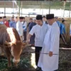 Kurban Ponpes Al-Islah Bondowoso Capai 980 Ekor, Termasuk Sapi Presiden dan Kapolri