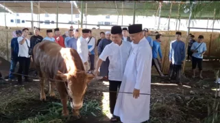 Kurban Ponpes Al-Islah Bondowoso Capai 980 Ekor, Termasuk Sapi Presiden dan Kapolri