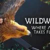 Laika Rilis Teaser Film Stop-Motion Fantasi ‘Wildwood’, Siap Tayang Oktober 2026