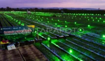 Lampu Hijau Kemenhut: 127 Hektar Hutan Bojonegoro Siap Didirikan Yonif TP 885