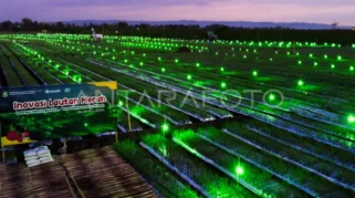 Lampu Hijau Kemenhut: 127 Hektar Hutan Bojonegoro Siap Didirikan Yonif TP 885