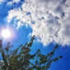 Langit Jatim Bersahabat di Pagi, Siang Hari Diprediksi Didominasi Awan