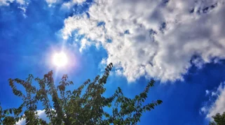 Langit Jatim Bersahabat di Pagi, Siang Hari Diprediksi Didominasi Awan