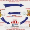 Langkah Praktis Memulai bisnis dropshipping untuk pemula rumahan
