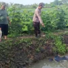 Lansia di Kartoharjo Magetan Meninggal Dunia Akibat Tersengat Listrik dari Perangkap Tikus di Sawah