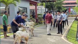 Lapas Banyuwangi Sembelih 12 Hewan Kurban, Warga Binaan Nyate Bareng