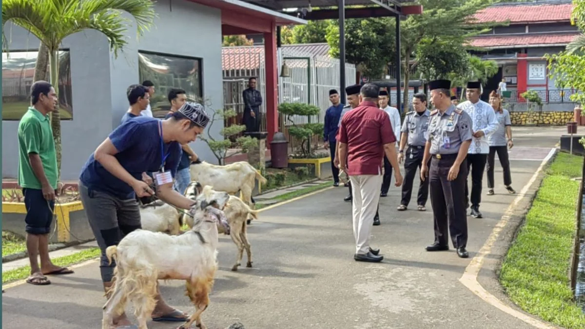 Lapas Banyuwangi Sembelih 12 Hewan Kurban, Warga Binaan Nyate Bareng