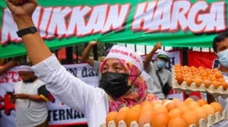 Legislator Dorong Kemendag Kerja Sama dengan BGN Atasi Harga Telur Anjlok