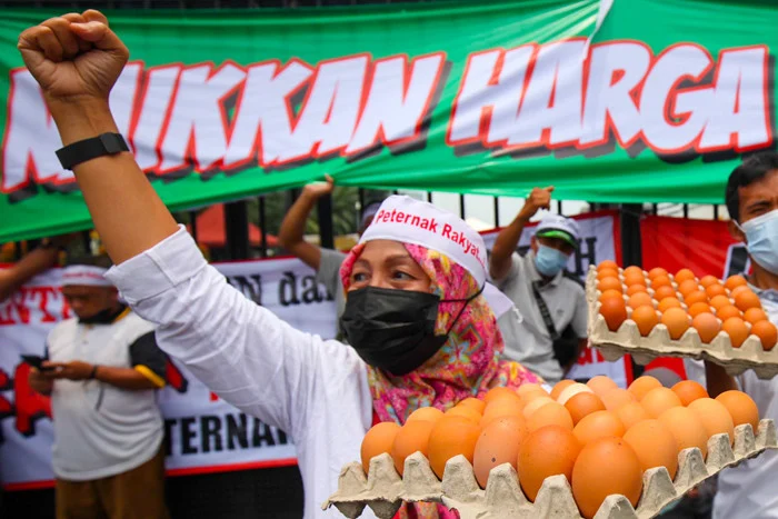 Legislator Dorong Kemendag Kerja Sama dengan BGN Atasi Harga Telur Anjlok