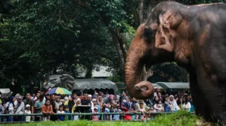 Libur Panjang, Ragunan Jadi Pilihan Wisata Edukatif Keluarga