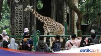Libur Panjang, Ragunan Pertahankan Tarif Normal untuk Wisatawan
