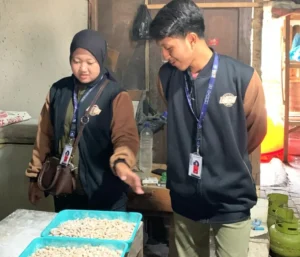 Mahasiswa KKN UMJ Jember Perkenalkan TELKOTEL Ikan Tenggiri sebagai Camilan Khas Desa Bandaran