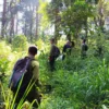 Mahasiswa UGM Berperan dalam Inventarisasi Keanekaragaman Hayati di Hutan Gunung Lawu