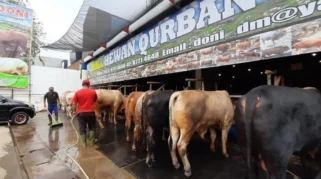 Mall Hewan Kurban Haji Doni Diminati Warga Eropa