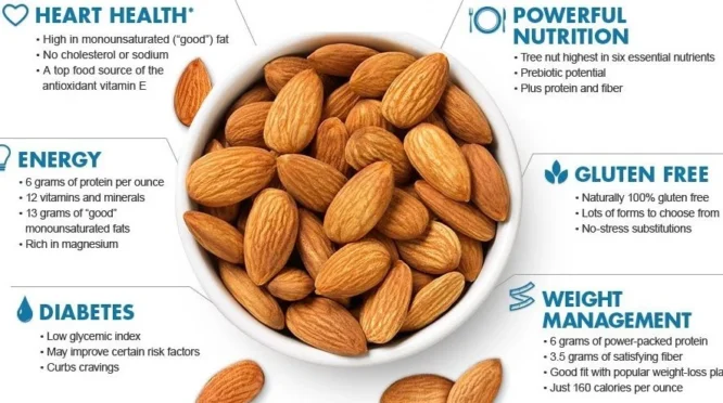 Manfaat kacang almond dalam diet sehat: Panduan lengkap