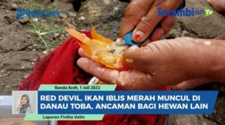 Martalena Manalu Olah Ikan Red Devil Jadi Kerupuk Khas Danau Toba