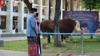 Masjid Istiqlal Terima Puluhan Hewan Kurban dari Presiden dan Tokoh Masyarakat Jelang Iduladha 1447 Hijriah