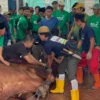 Menag Pastikan Distribusi Daging Kurban Istiqlal Prioritaskan Pesantren untuk Cegah Kerumunan