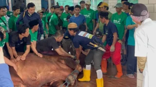 Menag Pastikan Distribusi Daging Kurban Istiqlal Prioritaskan Pesantren untuk Cegah Kerumunan