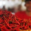 Mengapa Makanan Pedas Begitu Banyak Digemari? Ini Faktornya!