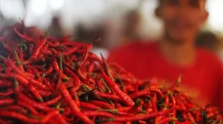 Mengapa Makanan Pedas Begitu Banyak Digemari? Ini Faktornya!