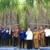 Menkop Siapkan Skema Baru Kepemilikan Saham Koperasi untuk Petani Tebu Nasional