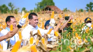Mensesneg Prasetyo Hadi Ungkap Tuban Jadi Penghasil Jagung Terbesar di Jatim