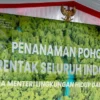 Menteri Lingkungan Hidup Tanam 1.000 Pohon di Cianjur untuk Hadapi Perubahan Iklim