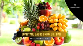 menurunkan berat badan dengan diet berbasis buah