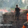 Mitigasi Kebakaran Hutan di Indonesia Menghadapi Ancaman El Nino