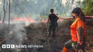 Mitigasi Kebakaran Hutan di Indonesia Menghadapi Ancaman El Nino