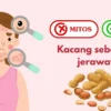 Mitos atau Fakta: Apakah Kebanyakan Makan Kacang Bisa Menyebabkan Jerawat?