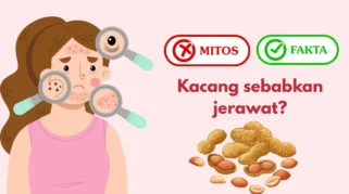 Mitos atau Fakta: Apakah Kebanyakan Makan Kacang Bisa Menyebabkan Jerawat?