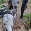 Motor Curian Disembunyikan di Kebun Pisang, Polisi Amankan Terduga Pelaku di Lumajang