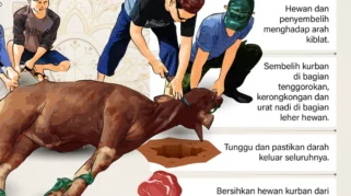 Muslim Indonesia di Inggris Membeli Hewan Kurban di Toko Daging