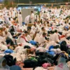 Musyrif Diny Ungkap Tiga Skema Mabit di Muzdalifah bagi Jemaah Haji Indonesia