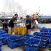 Nelayan Jakarta Utara Minta Penguatan Pelabuhan dan Fasilitas Pendingin Ikan Terintegrasi