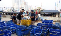 Nelayan Jakarta Utara Minta Penguatan Pelabuhan dan Fasilitas Pendingin Ikan Terintegrasi