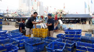 Nelayan Jakarta Utara Minta Penguatan Pelabuhan dan Fasilitas Pendingin Ikan Terintegrasi