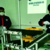Ni Wayan Sriyanti dari Teknik Industri UNDIP Wakili Jawa Tengah di PILMAPRES Nasional 2026