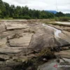 Padang Pariaman Selesaikan Perbaikan Sawah Rusak Seluas 446 Hektare