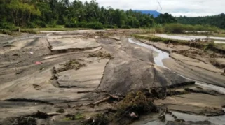 Padang Pariaman Selesaikan Perbaikan Sawah Rusak Seluas 446 Hektare