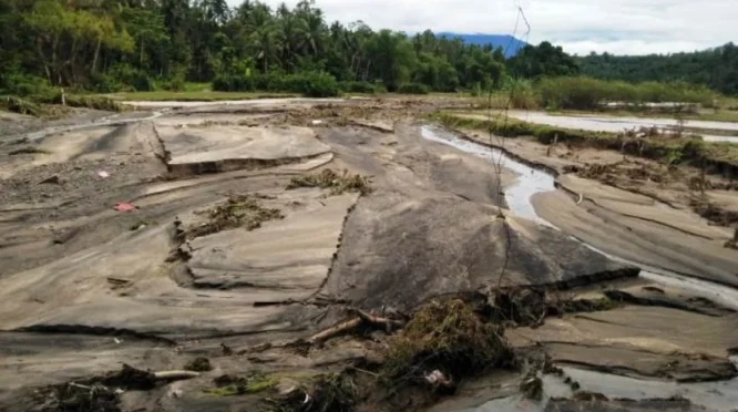 Padang Pariaman Selesaikan Perbaikan Sawah Rusak Seluas 446 Hektare