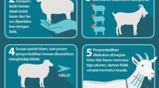 Panduan Lengkap Penyembelihan Hewan Kurban: Dari Persiapan hingga Penanganan Limbah