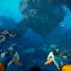 Panduan Mendapatkan Conduit Crystal di Subnautica 2 untuk Upgrade Alat