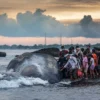 Paus Sperma 15 Meter Mati Terdampar di Pantai Melaya, Bali Jadi Sorotan Warga