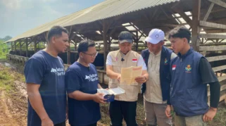 PDHI dan Human Initiative Perketat Pengawasan Hewan Kurban Antisipasi PMK dan LSD Jelang Iduladha