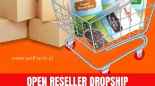 peluang usaha reseller produk lokal: Mengapa Saat Ini Waktu yang Tepat